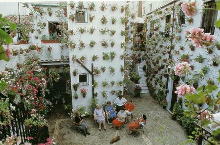 qui voudrait un jardin comme celui la??? lol