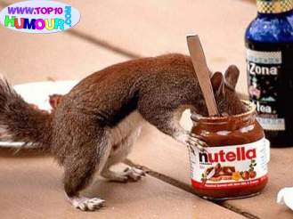 juju toujours entrain de manger du nutella!! lol